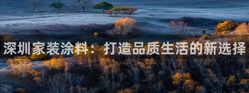 和记h188：深圳家装涂料：打造品质生活的新选择