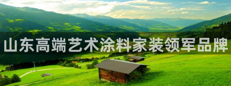 和记 官网：山东高端艺术涂料家装领军品牌