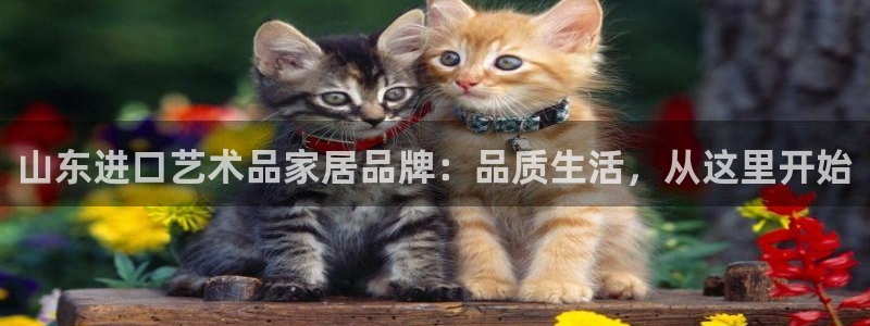 和记ag捕鱼害死多少人：山东进口艺术品家居品牌：品质生活，从这里开始