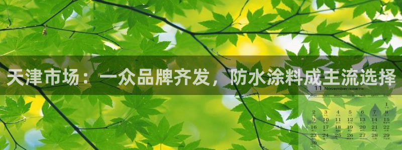 和记ag旗舰：天津市场：一众品牌齐发，防水涂料成主流选择