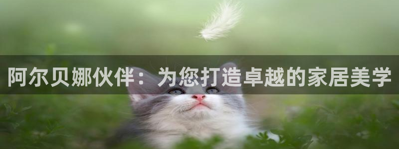 和记官方网站：阿尔贝娜伙伴：为您打造卓越的家居美学