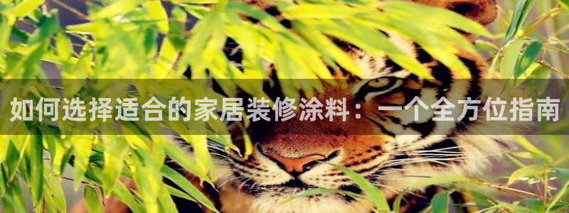 和记国际官网官网：如何选择适合的家居装修涂料：一个全方位指南