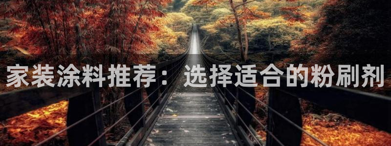 和记h8