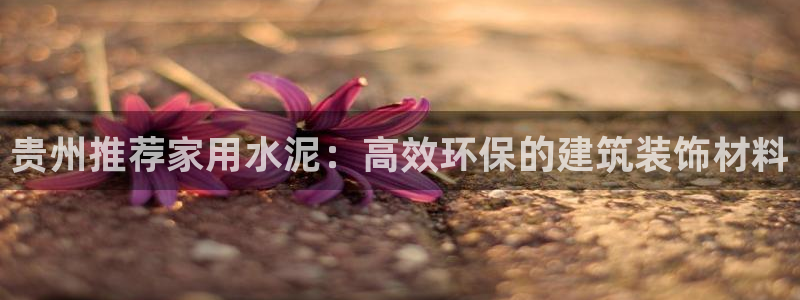 和记网页