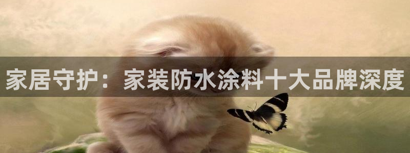 和记国际电讯市值：家居守护：家装防水涂料十大品牌深度