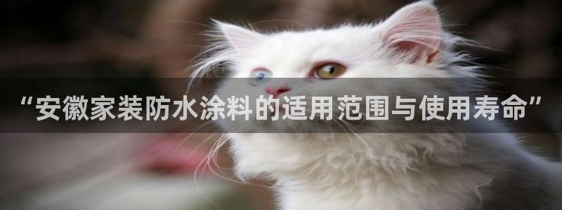 和记国际听：“安徽家装防水涂料的适用范围与使用寿命”