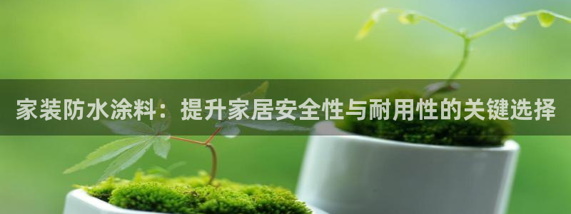 和记ag：家装防水涂料：提升家居安全性与耐用性的关键选择