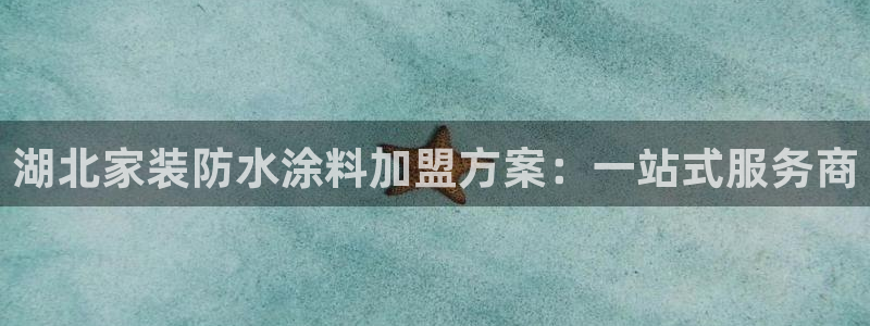 和记国际开户：湖北家装防水涂料加盟方案：一站式服务商