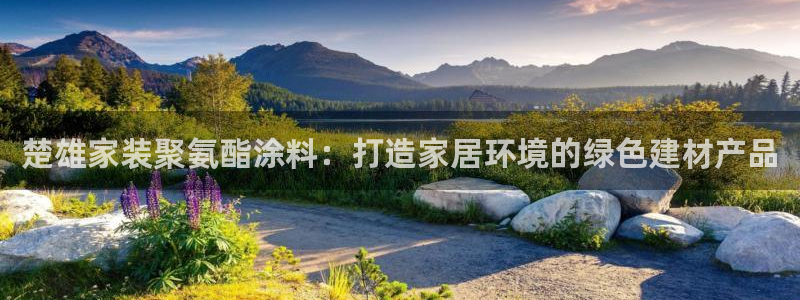 和记国际开户网站：楚雄家装聚氨酯涂料：打造家居环境的绿色建材产品