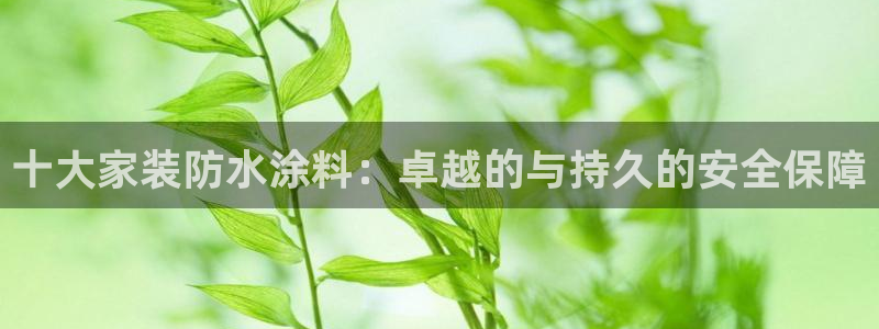 和记paging：十大家装防水涂料：卓越的与持久的安全保障