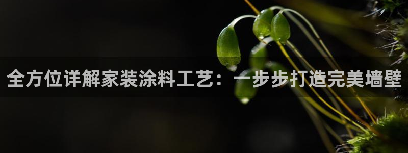 和记ag旗舰国际：全方位详解家装涂料工艺：一步步打造完美墙壁