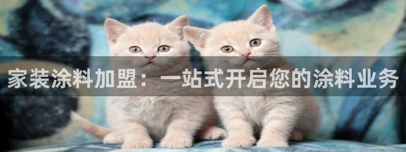 和记官方直营：家装涂料加盟：一站式开启您的涂料业务