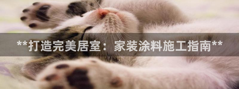 和记国际电讯市值：**打造完美居室：家装涂料施工指南**