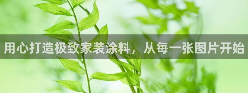 和记paging：用心打造极致家装涂料，从每一张图片开始