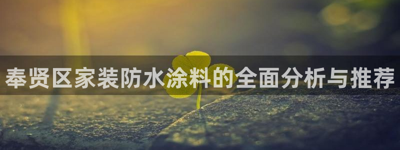 和记平台登录：奉贤区家装防水涂料的全面分析与推荐