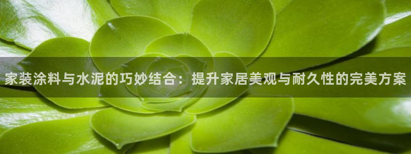 ag和记app：家装涂料与水泥的巧妙结合：提升家居美观与耐久性的完美方案