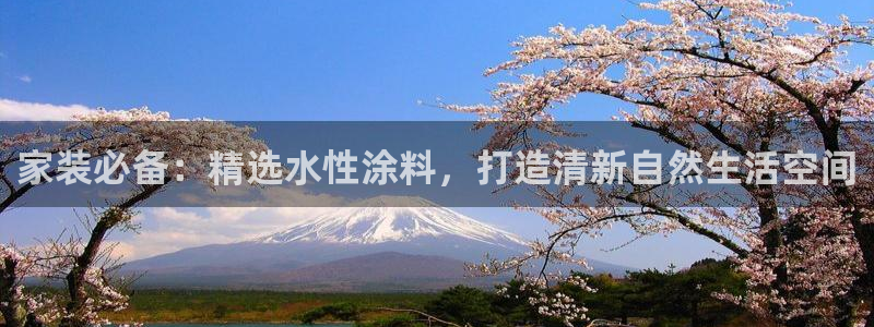 官方和记国际平台登录：家装必备：精选水性涂料，打造清新自然生