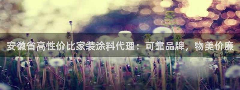 和记注册有什么送的：安徽省高性价比家装涂料代理：可靠品牌，物