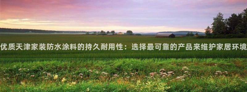 和记Ag：优质天津家装防水涂料的持久耐用性：选择最可靠的产品来维护家居环境