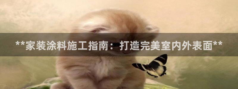 和记国际开户网站：**家装涂料施工指南：打造完美室内外表面**