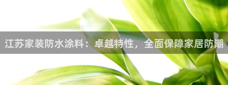 和记h88最新客户端下载：江苏家装防水涂料：卓越特性，全面保