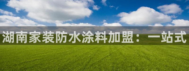 深圳和记科技有限公司：湖南家装防水涂料加盟：一站式