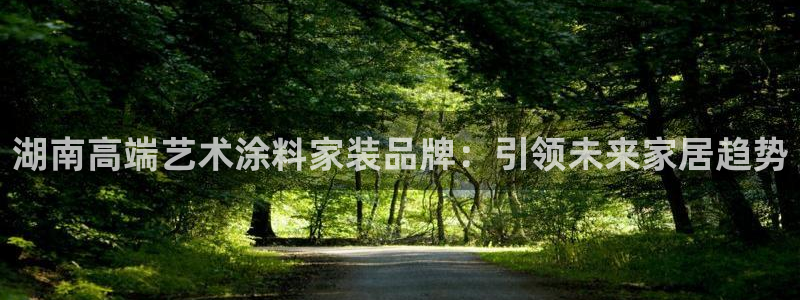 和记ag旗舰厅app：湖南高端艺术涂料家装品牌：引领未来家居趋势