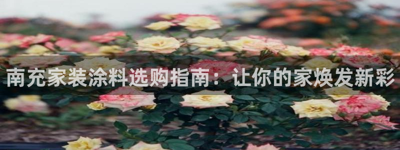 和记国际开户网站