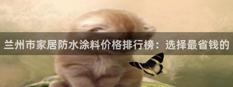 和记平台怎么样：兰州市家居防水涂料价格排行榜：选择最省钱的