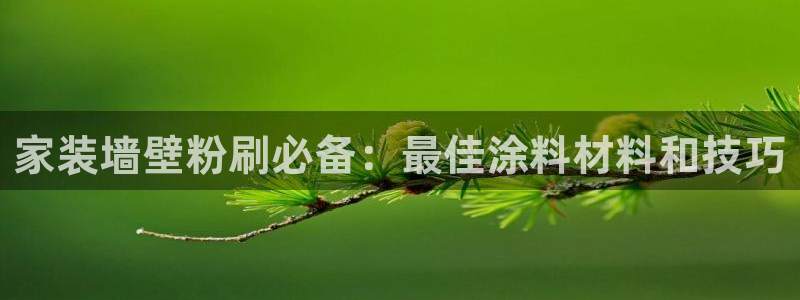 和记最新官方网址：家装墙壁粉刷必备：最佳涂料材料和技巧