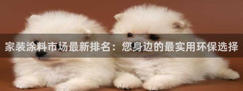 和记平台怎么样：家装涂料市场最新排名：您身边的最实用环保选择