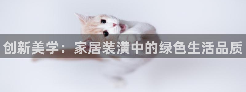 和记官网登录：创新美学：家居装潢中的绿色生活品质