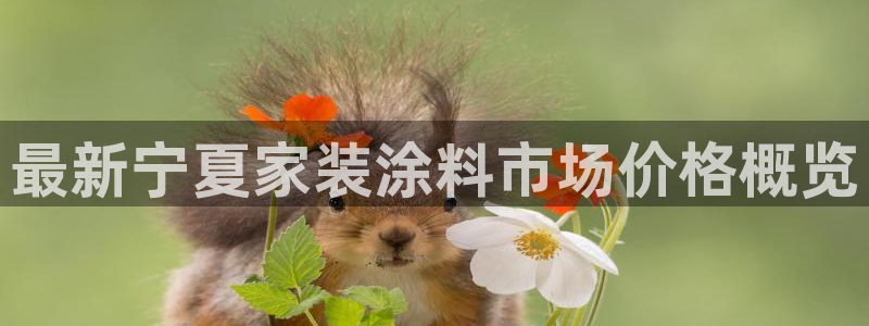 和记平台：最新宁夏家装涂料市场价格概览