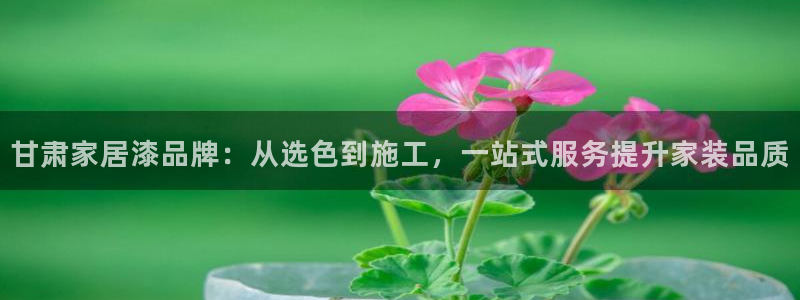 和记H88：甘肃家居漆品牌：从选色到施工，一站式服务提升家装品质