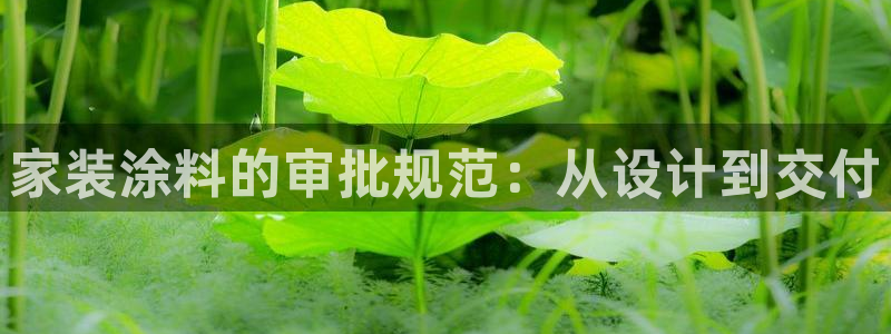 和记官方：家装涂料的审批规范：从设计到交付