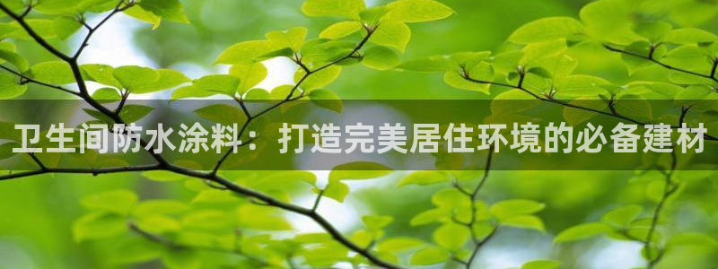 和记网页：卫生间防水涂料：打造完美居住环境的必备建材
