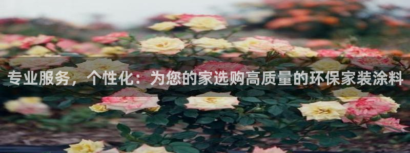 和记h88游戏：专业服务，个性化：为您的家选购高质量的环保家装涂料