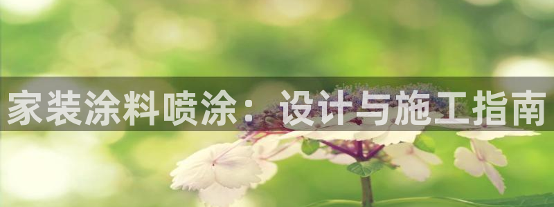 和记网页版：家装涂料喷涂：设计与施工指南