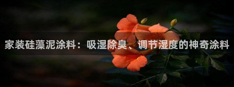 和记ag旗舰：家装硅藻泥涂料：吸湿除臭、调节湿度的神奇涂料