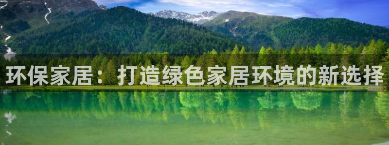 和记港口：环保家居：打造绿色家居环境的新选择