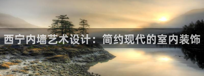 和记国际客服：西宁内墙艺术设计：简约现代的室内装饰