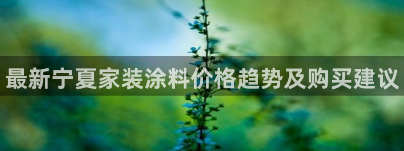 和记 中国首页：最新宁夏家装涂料价格趋势及购买建议