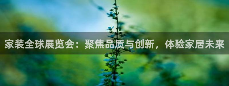 和记网页版登陆：家装全球展览会：聚焦品质与创新，体验家居未来