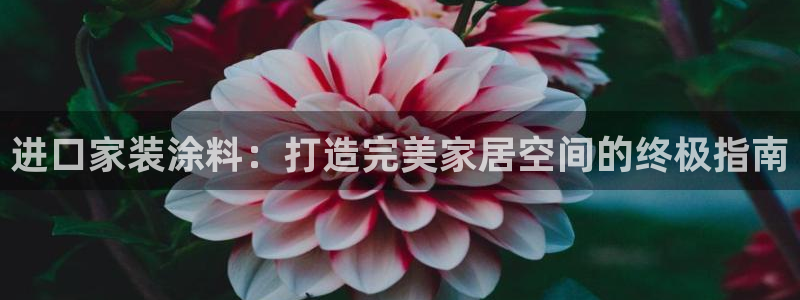 深圳和记科技有限公司：进口家装涂料：打造完美家居空间的终极指南