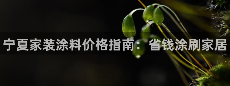 和记 中国官网：宁夏家装涂料价格指南：省钱涂刷家居