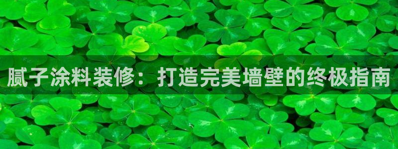 和记(福建)商贸有限公司：腻子涂料装修：打造完美墙壁的终极指南