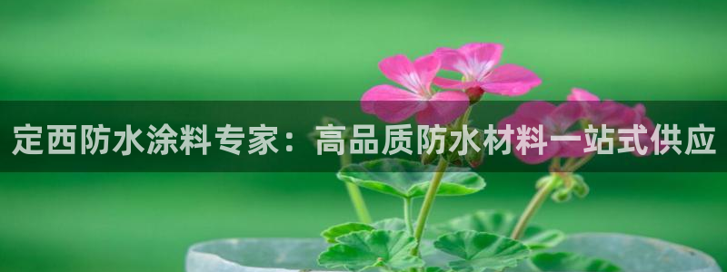 和记官网登陆：定西防水涂料专家：高品质防水材料一站式供应
