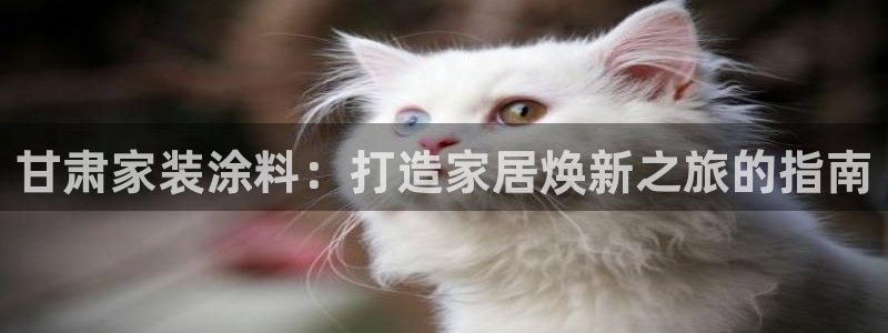 和记平台官方网：甘肃家装涂料：打造家居焕新之旅的指南