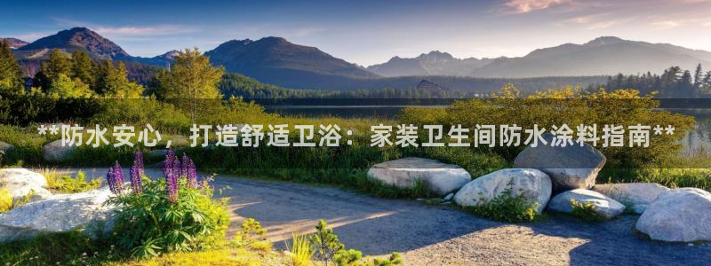 和记平台官方网：**防水安心，打造舒适卫浴：家装卫生间防水涂料指南**