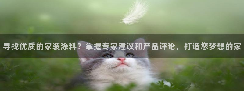 和记ag登录：寻找优质的家装涂料？掌握专家建议和产品评论，打造您梦想的家